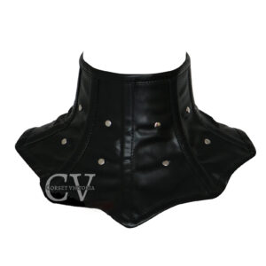 cvc n1bl back.jpg